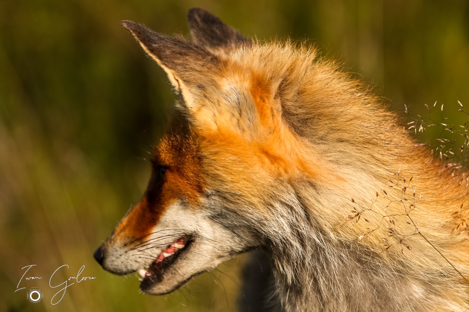 12 juni 2022 193348 1DX47403